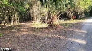 Picture 6