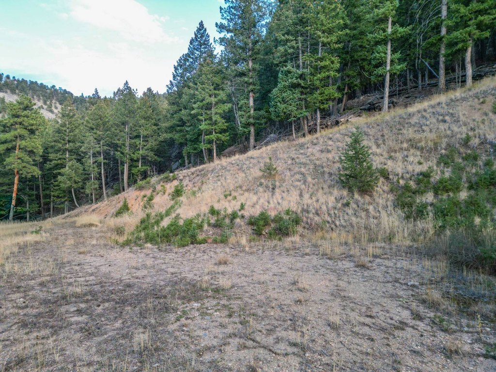 Picture 11