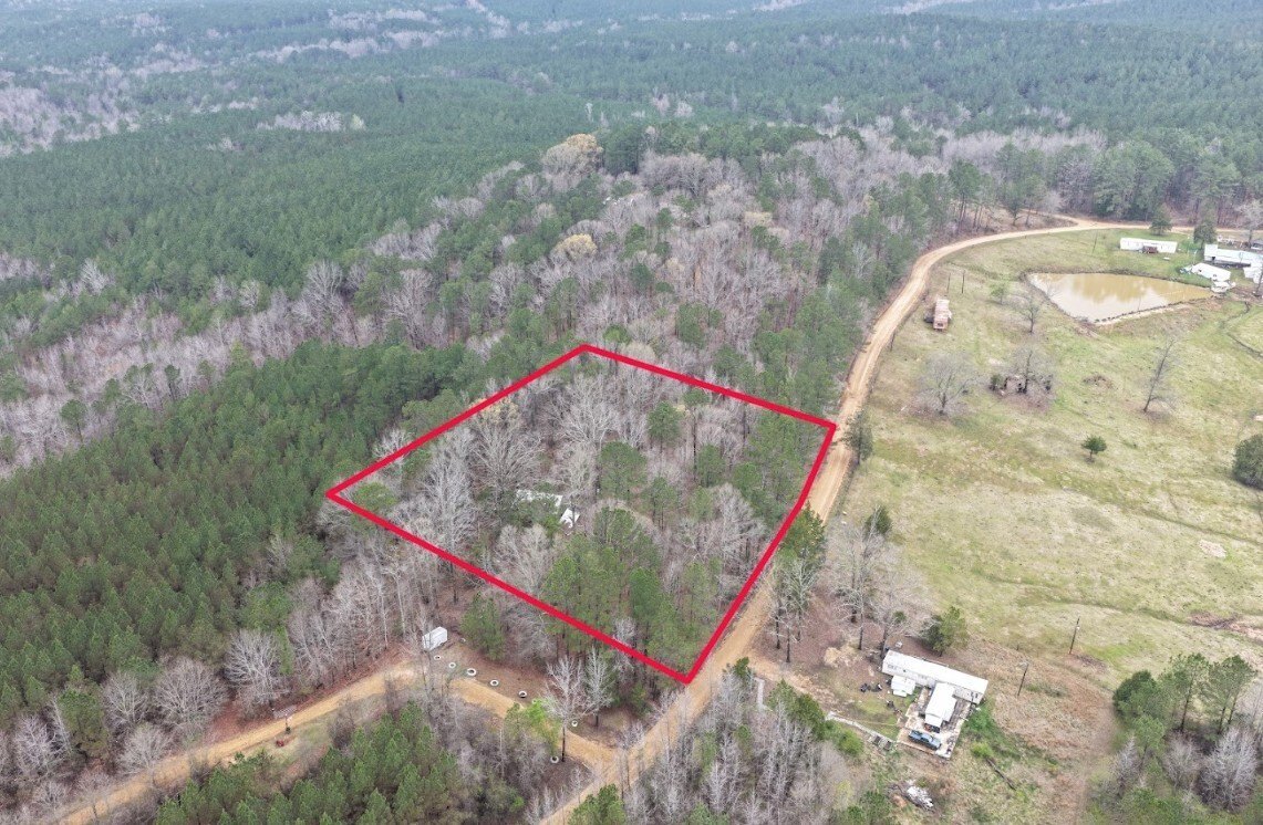 Fayette, AL Wooded Land