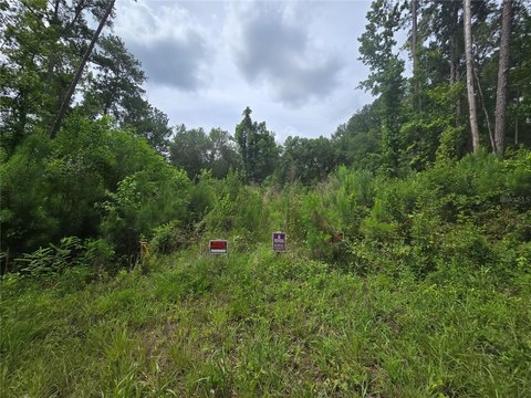 Land - OCKLAWAHA, FL