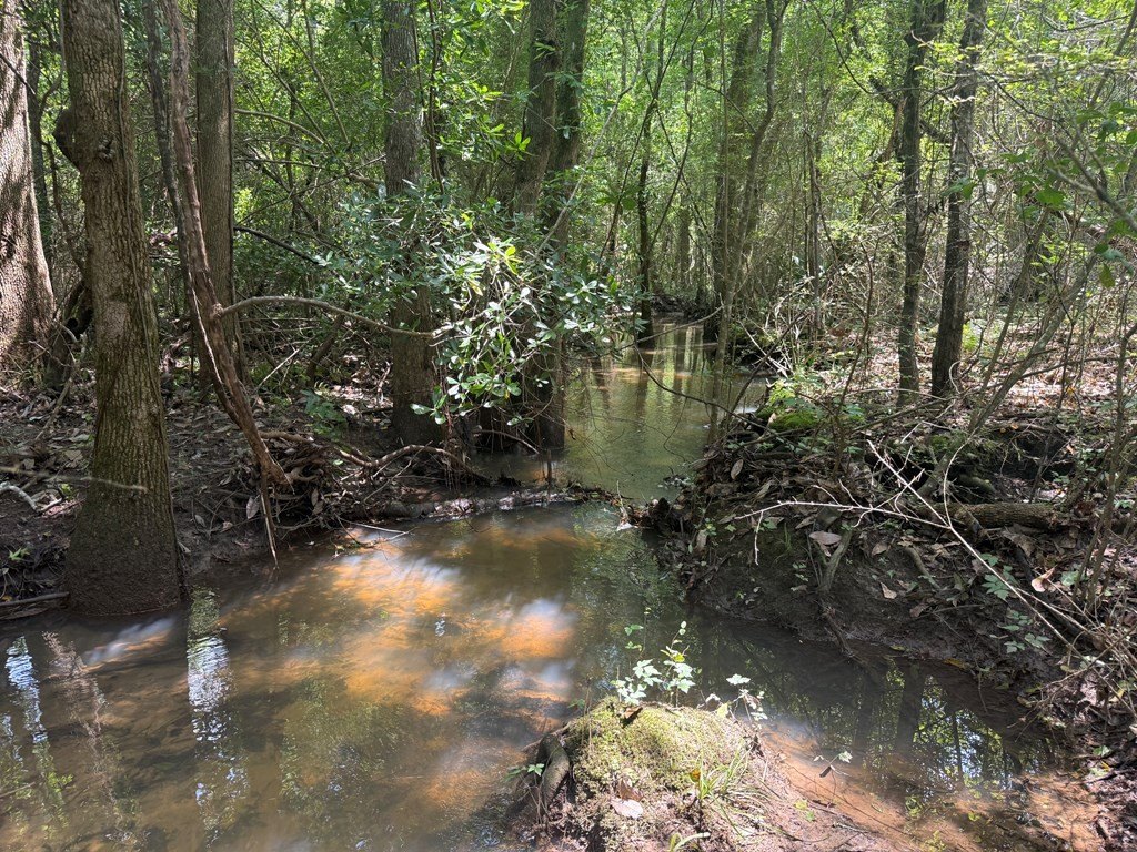 Picture 19