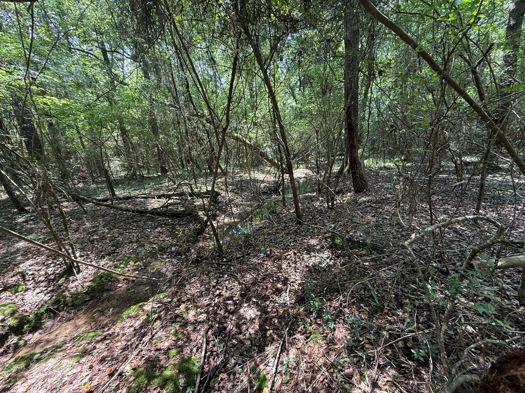 Picture 13
