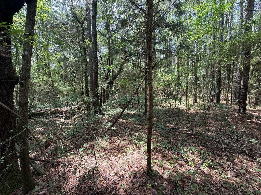Picture 11