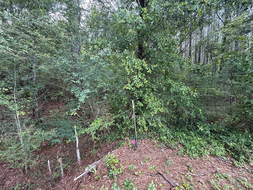 Picture 22
