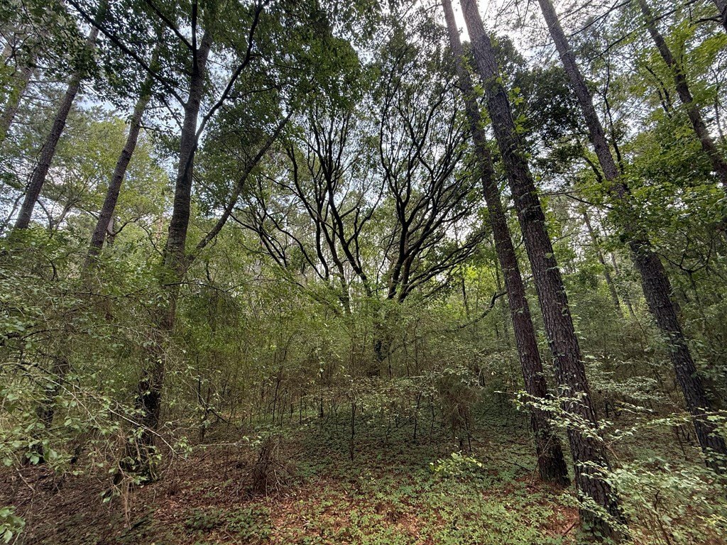 Picture 10