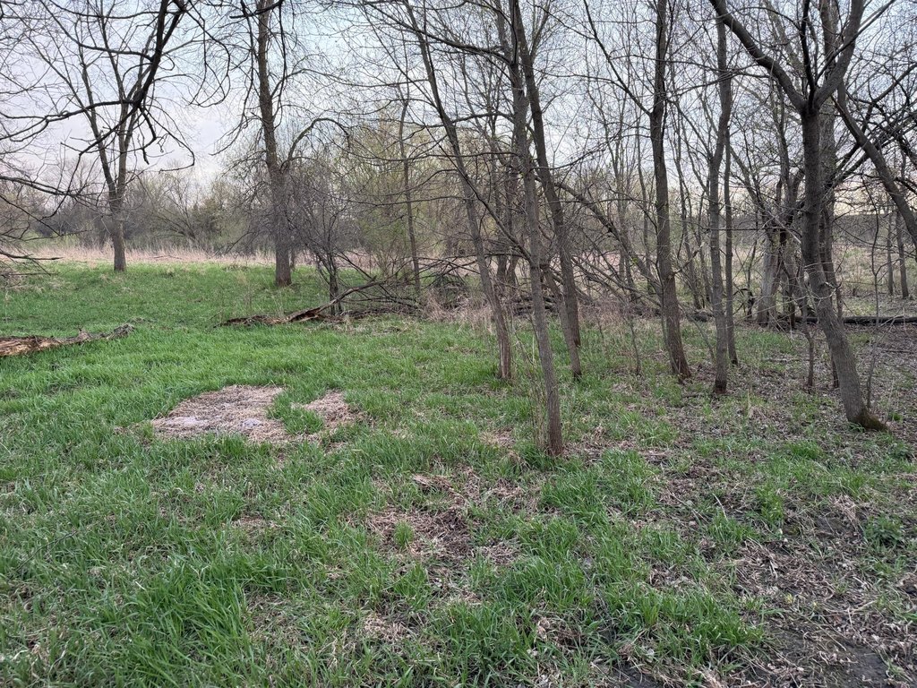 Picture 44