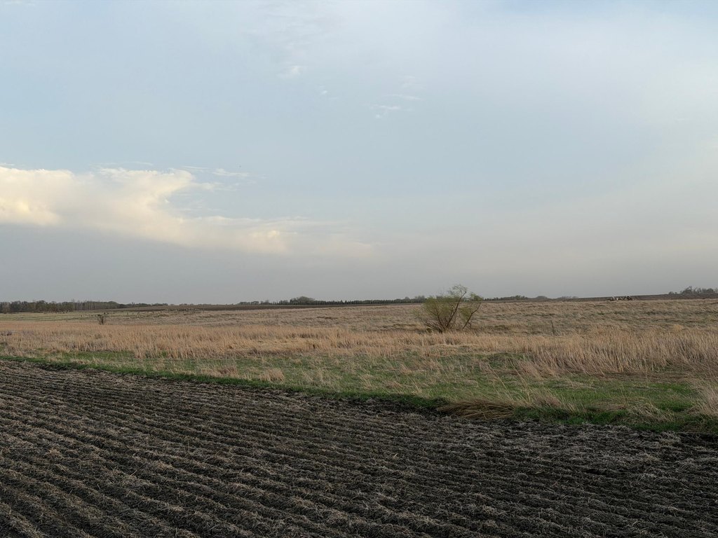 Picture 12