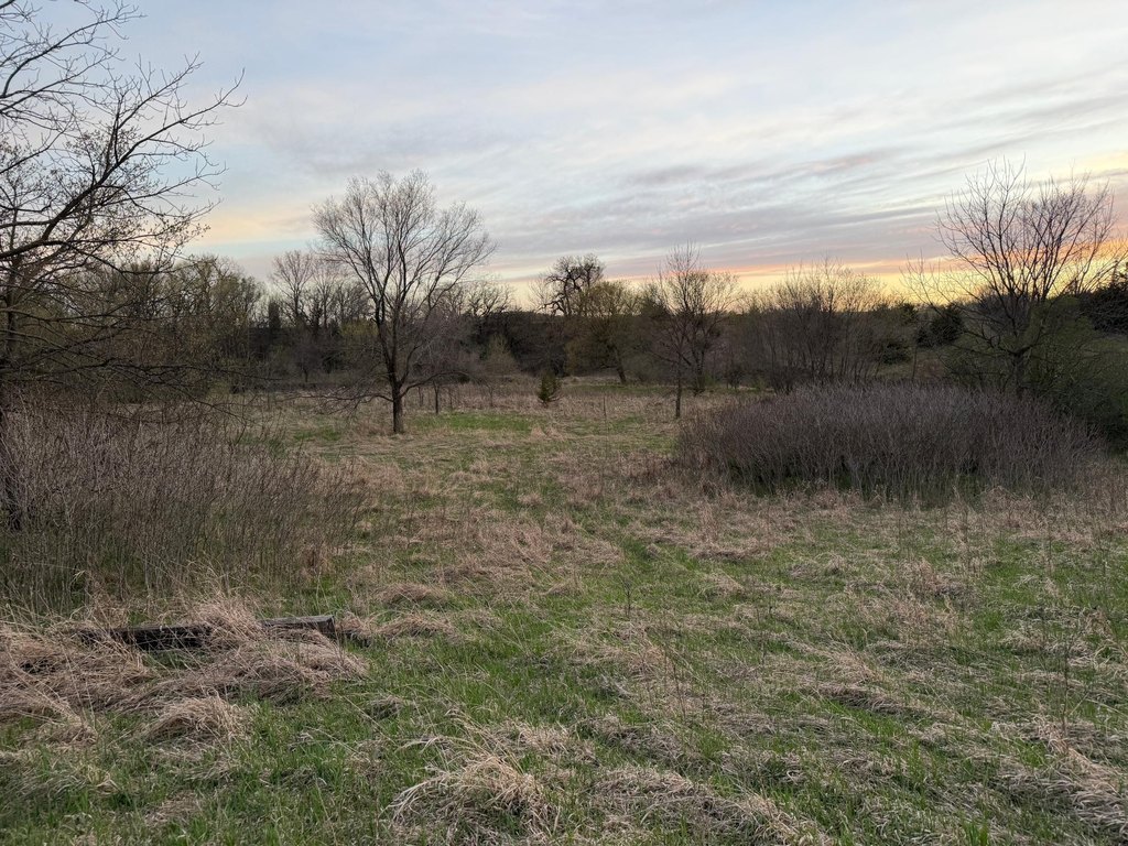 Picture 47