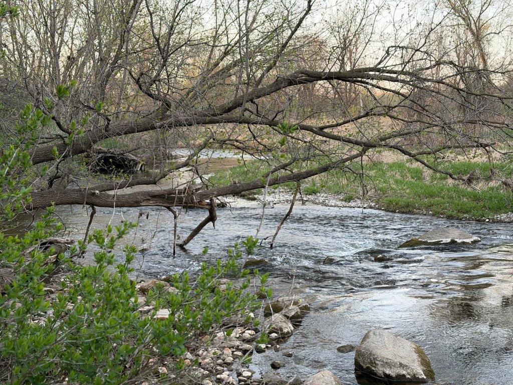 Picture 31