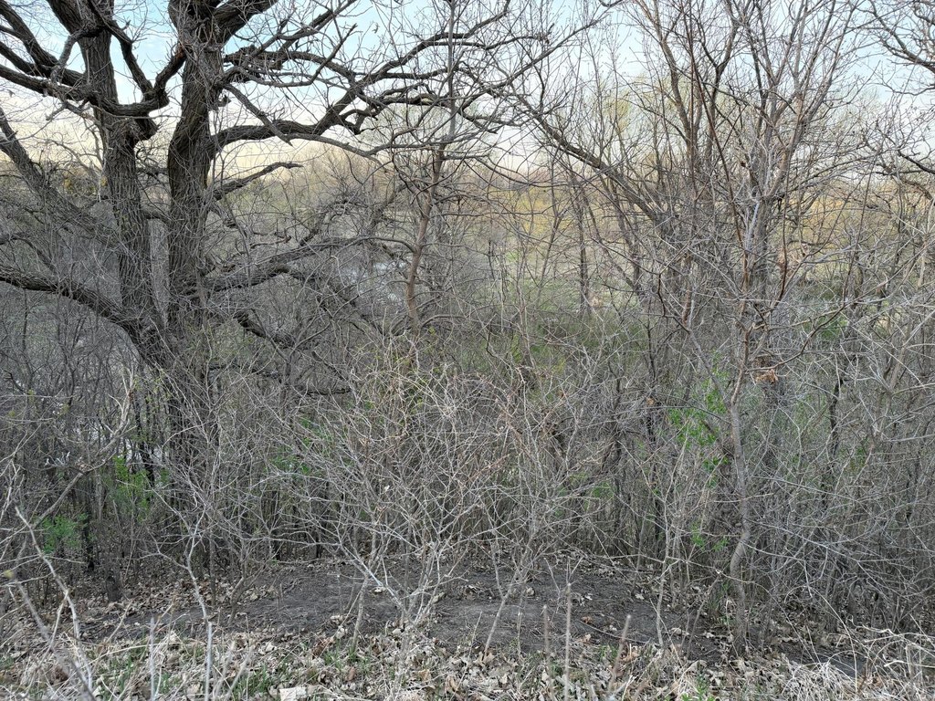Picture 23