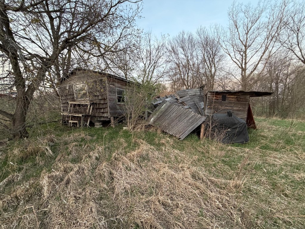 Picture 46
