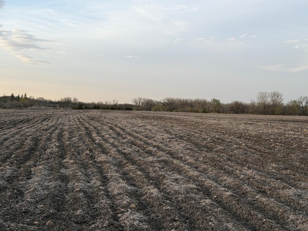 Picture 14