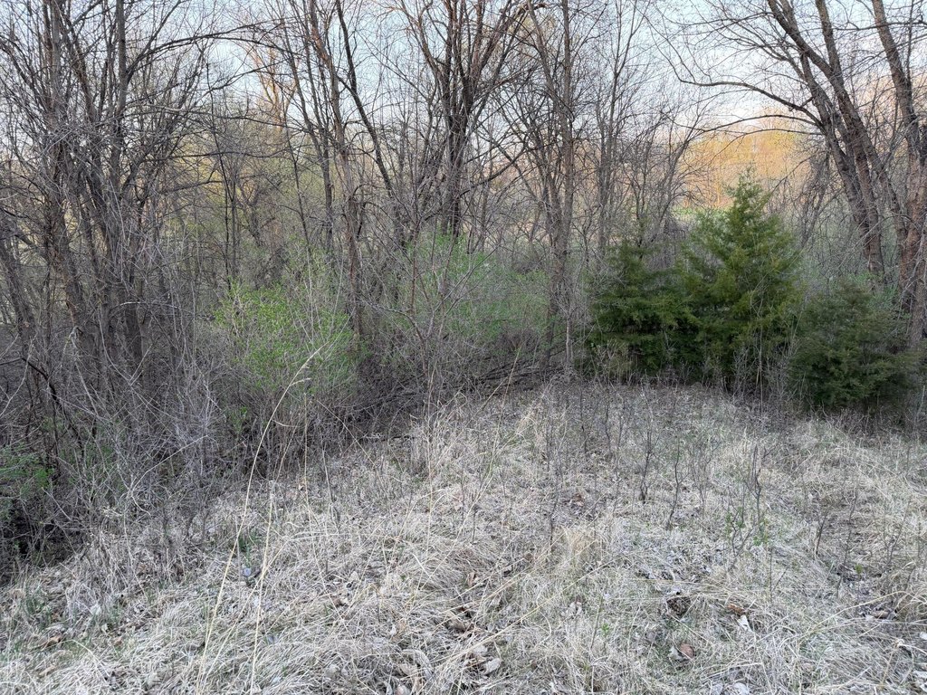Picture 25
