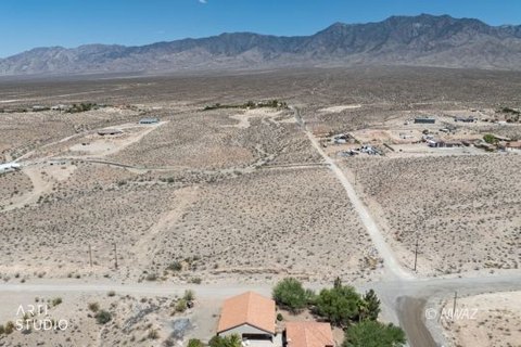 LAND - Littlefield, AZ