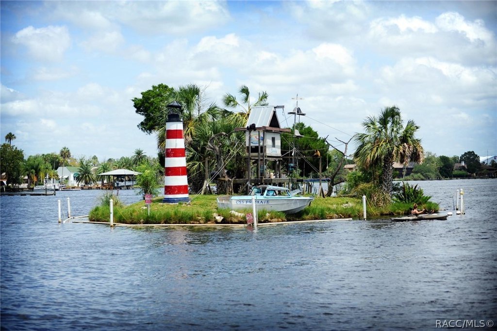 Picture 48