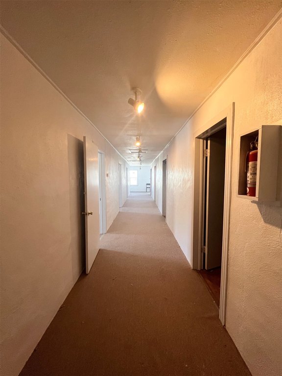 Picture 28