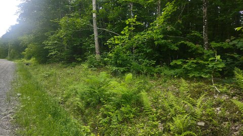 Land, Vienna, ME