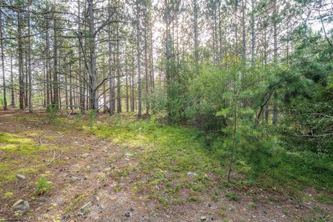 Lots/Land, Davis, WV