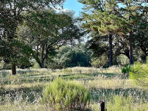 Heavily Wooded Recreational Acreage