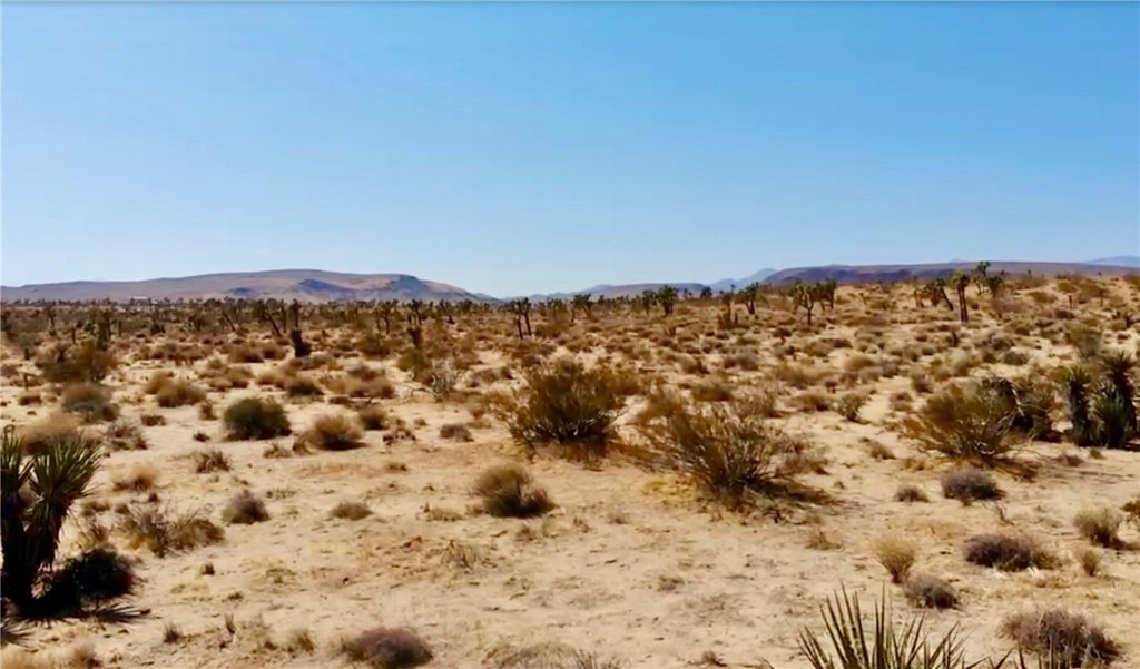 Picture 43