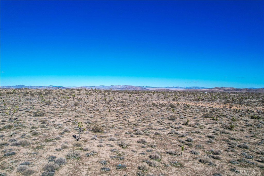 Picture 20