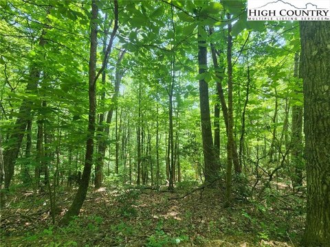 West Jefferson Land For Sale