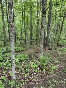 Royalston Land Parcel For Sale