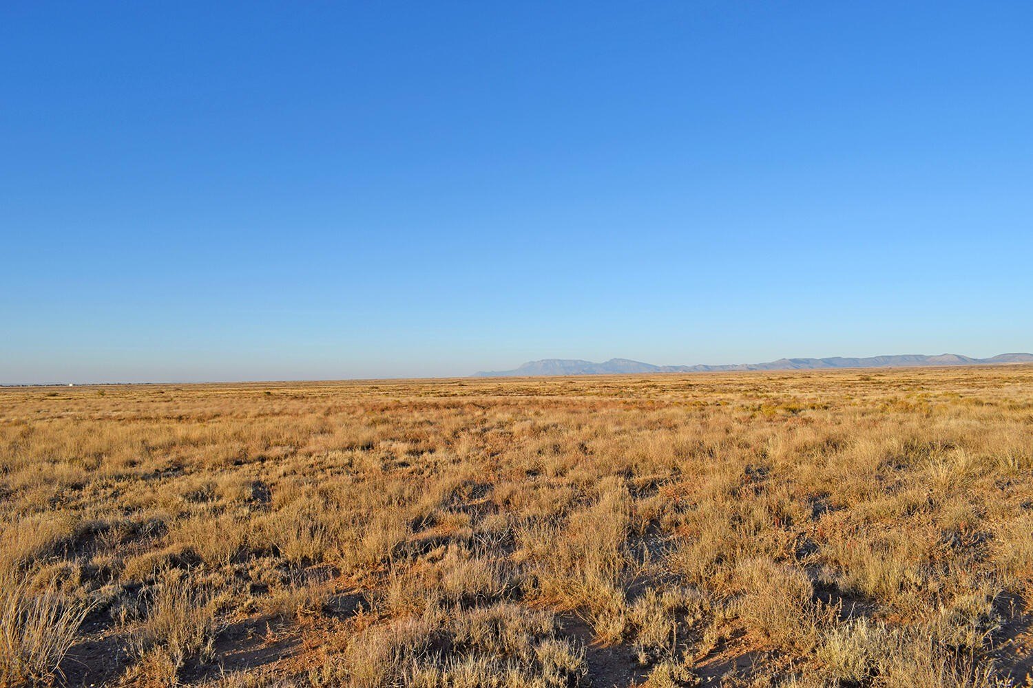 Land in Los Lunas, NM