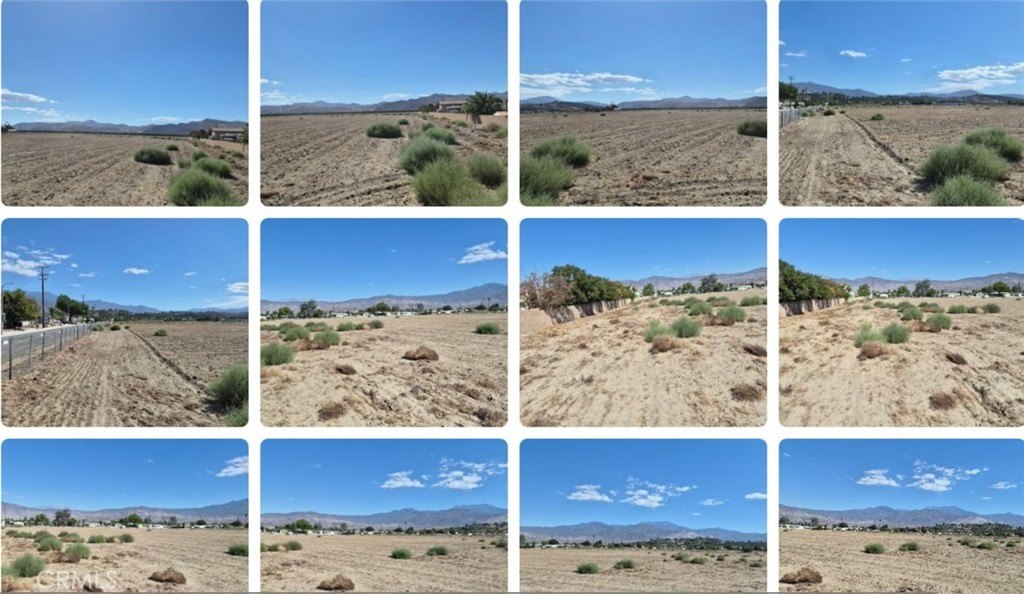 Picture 2