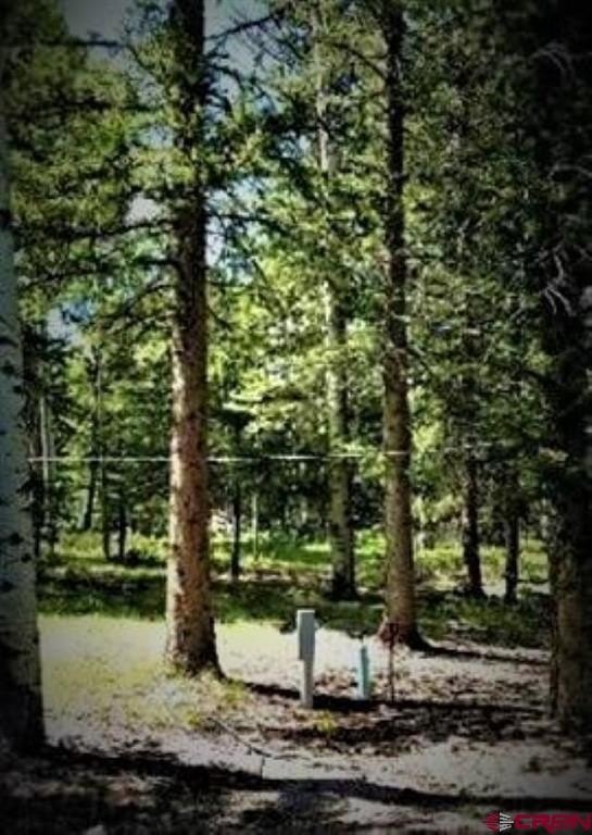 Picture 4