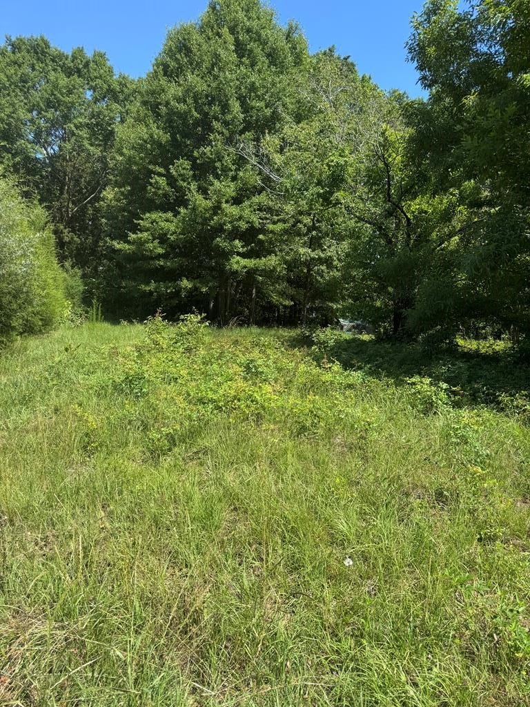 Lake Eufaula Waterfront Lot