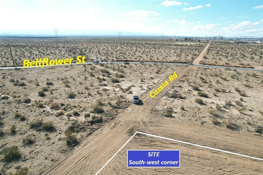 Picture 7