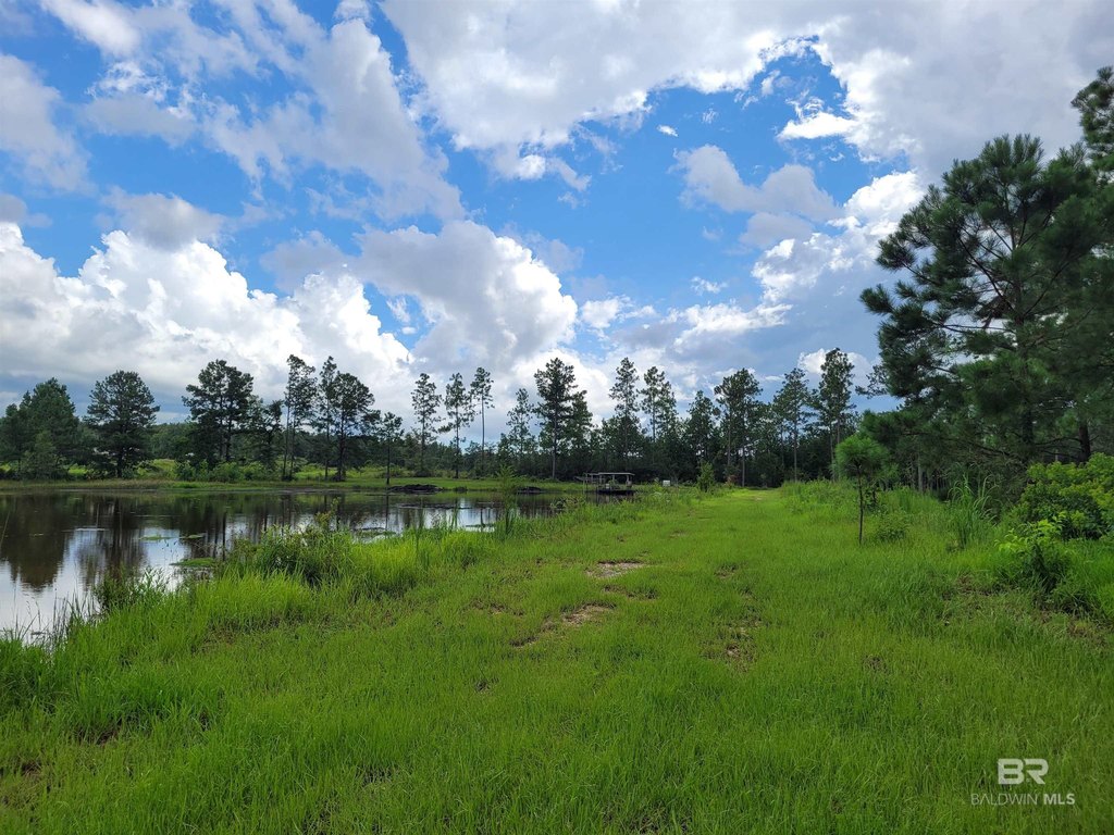 Picture 8