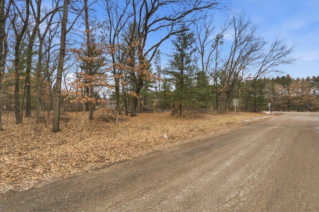 Picture 19