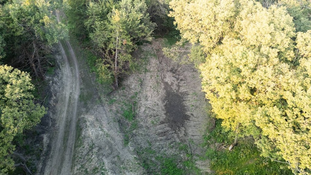 Picture 4