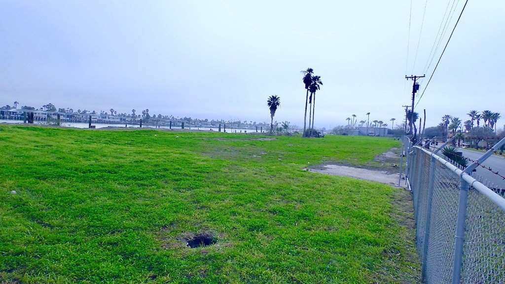 Picture 4