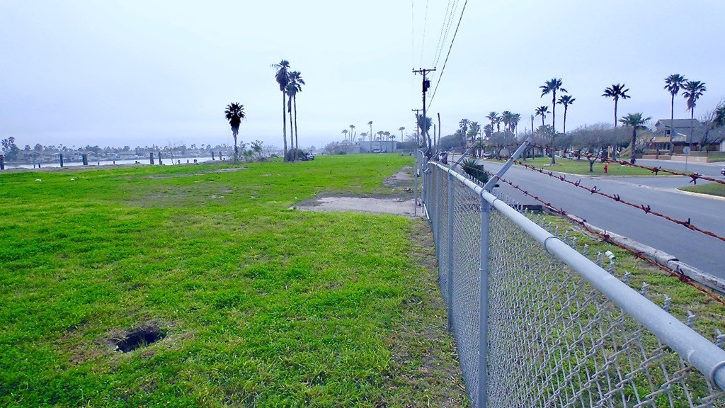 Picture 5