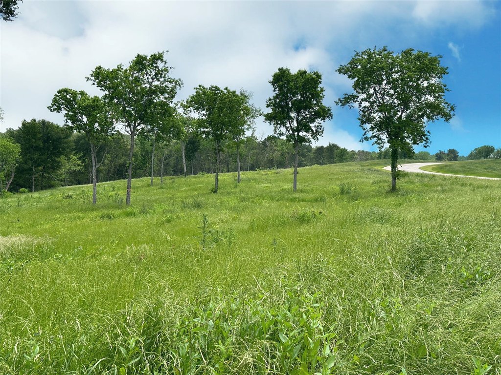 Picture 27