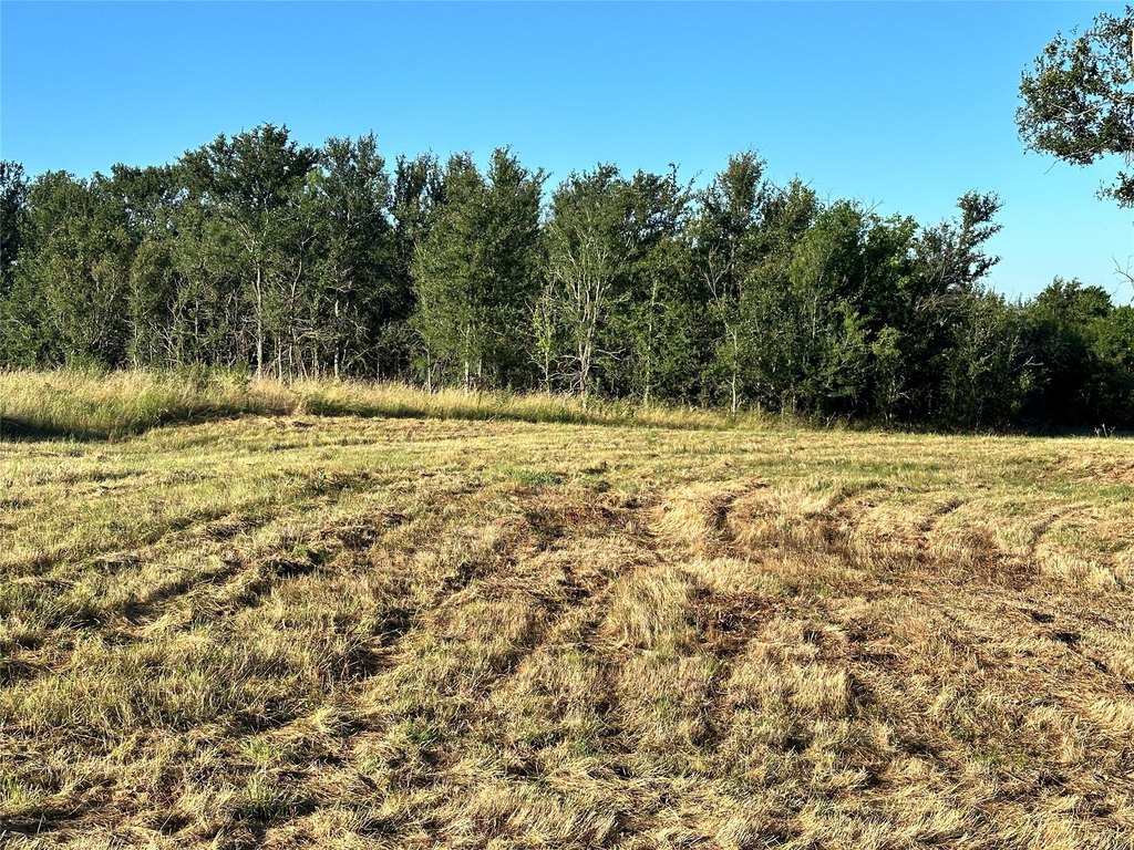 Picture 29