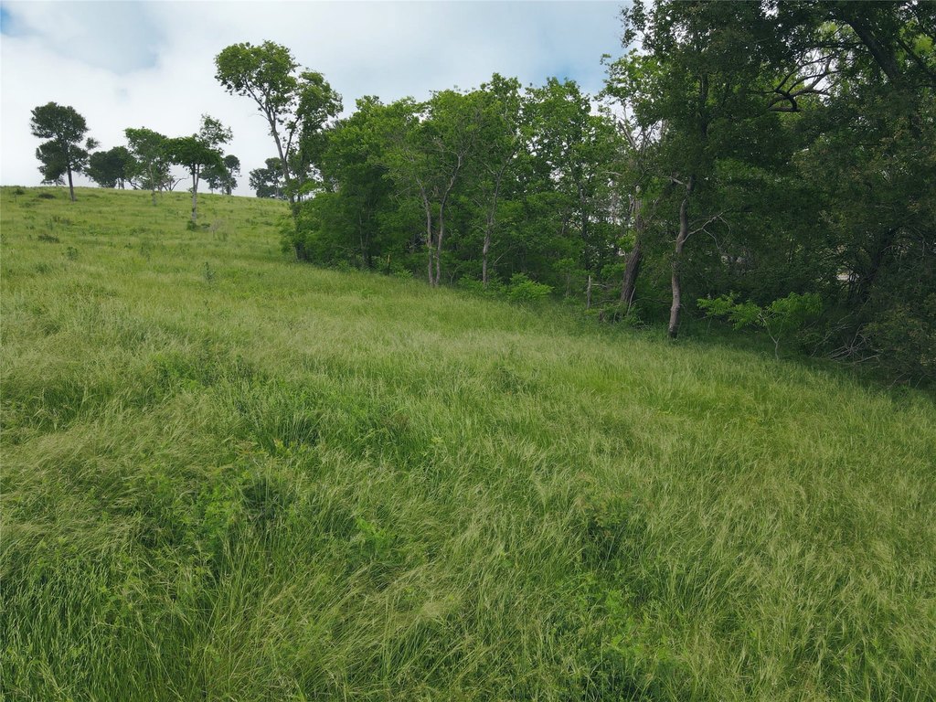 Picture 22