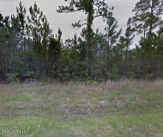 Wooded Lots Near Gulf Coast