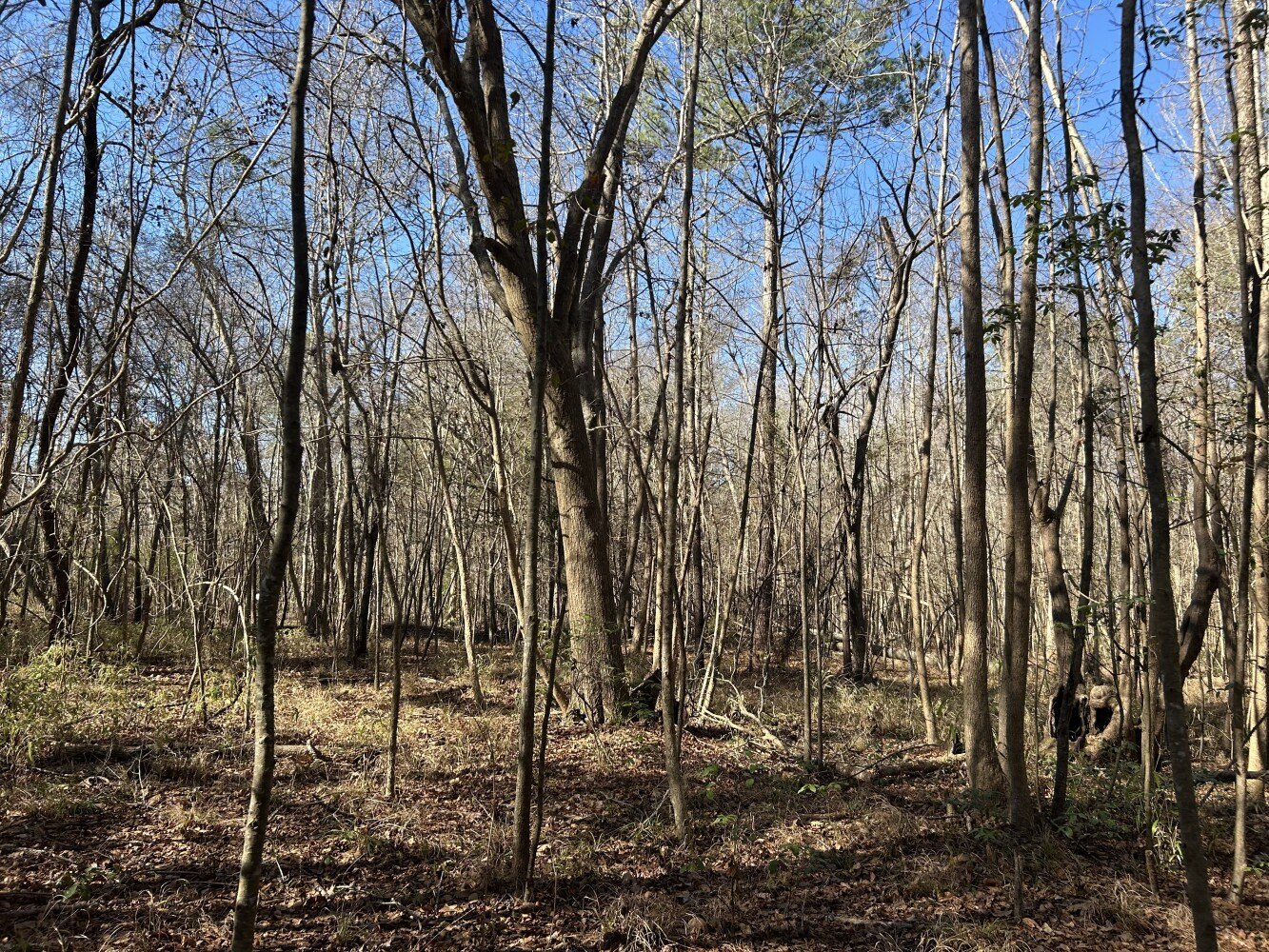 Kingstree Vacant Land For Sale