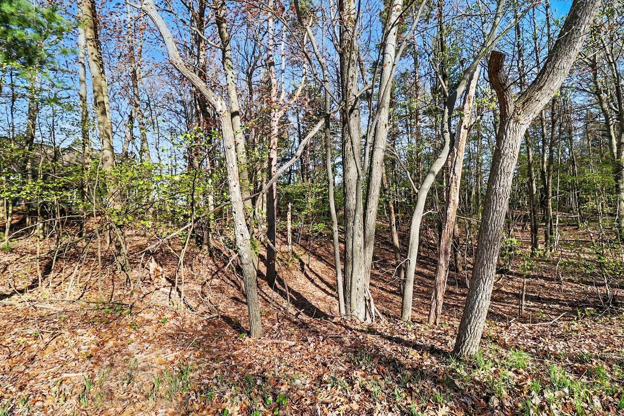 Lake Michigan View Acreage