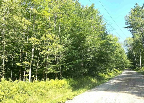 Forested Mountain Land Parcel