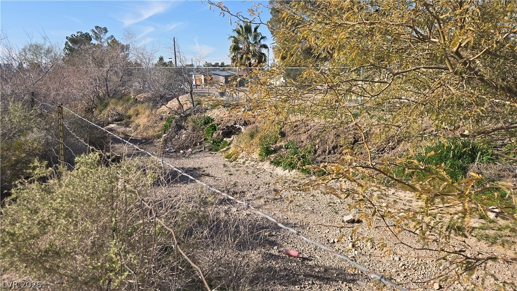Picture 7