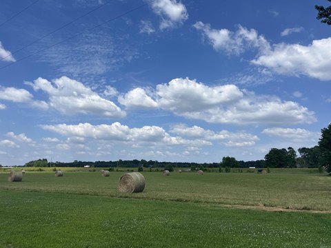 2.8 Acre Lot in Paragould