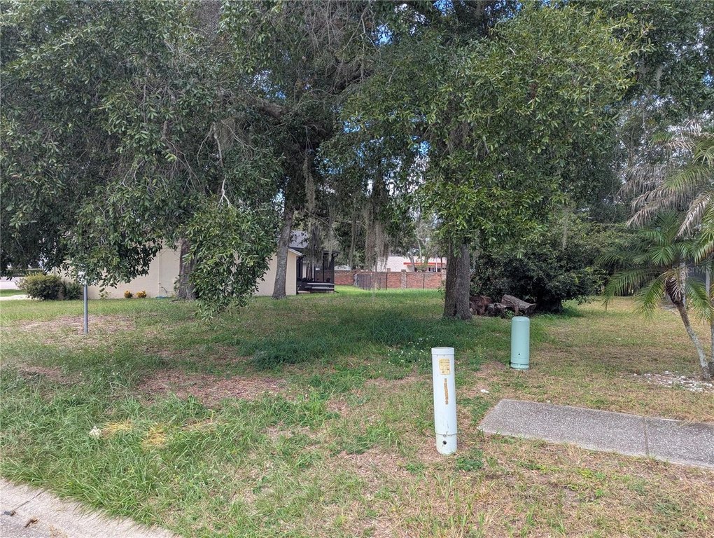 Picture 15