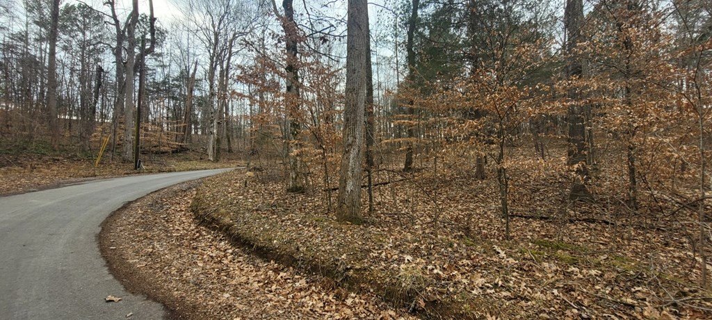 Picture 3