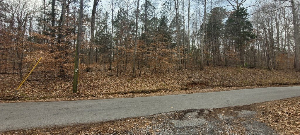 Picture 6
