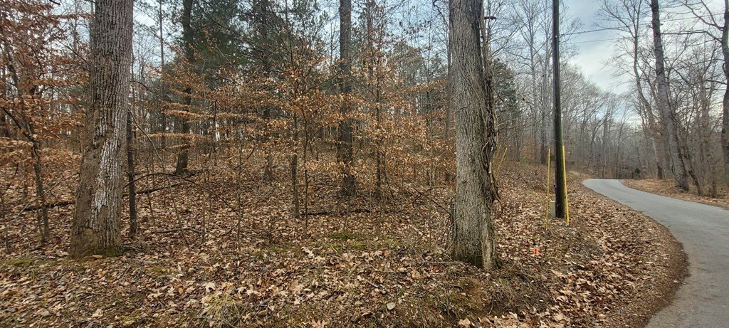 Picture 2